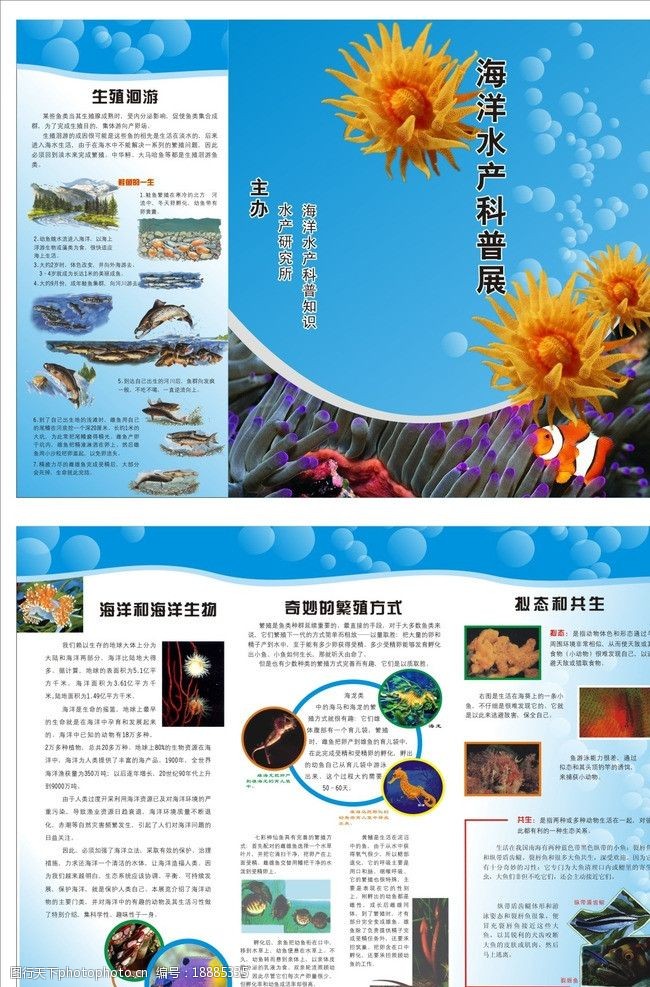 免费短剧《求婚九十九次离婚一秒钟》免费版全集迟宁宁刘承林每一个画面都能截下来当壁纸。(图1)