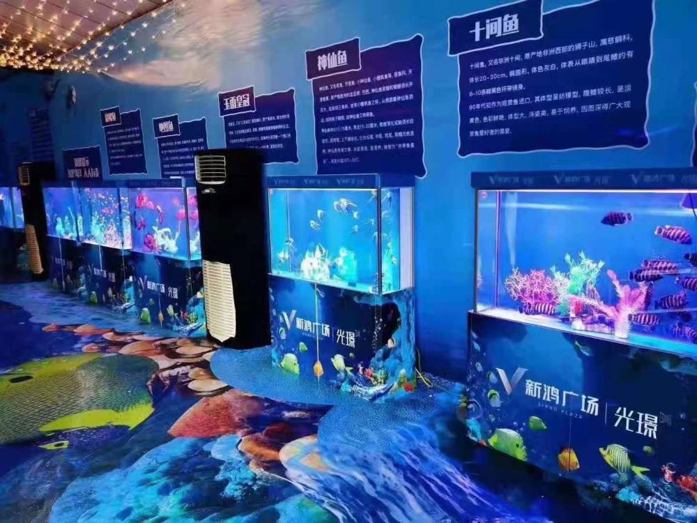 推進設施聯通 助力物暢其流——加快建設全國統一大市場一線觀察之二(图1)