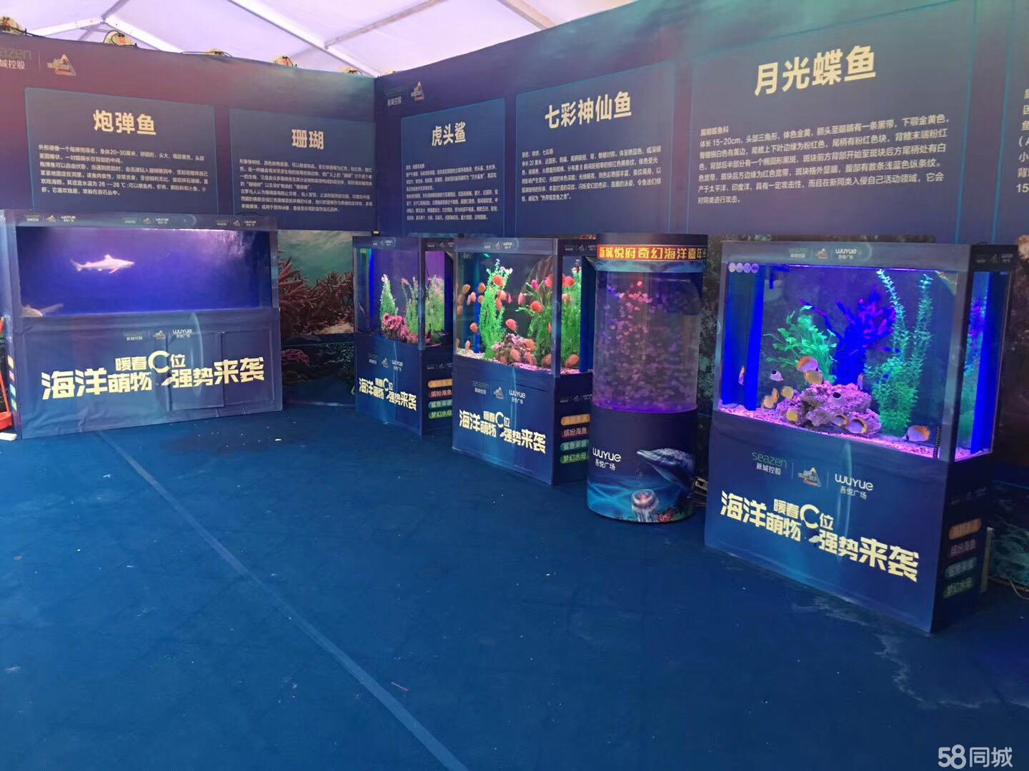 2025年美国海景艺术在线大赛：全球艺术家齐聚海洋之美(图1)