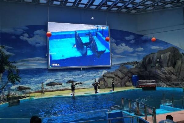 贵阳海洋世界门票多少钱一张2025(图1)