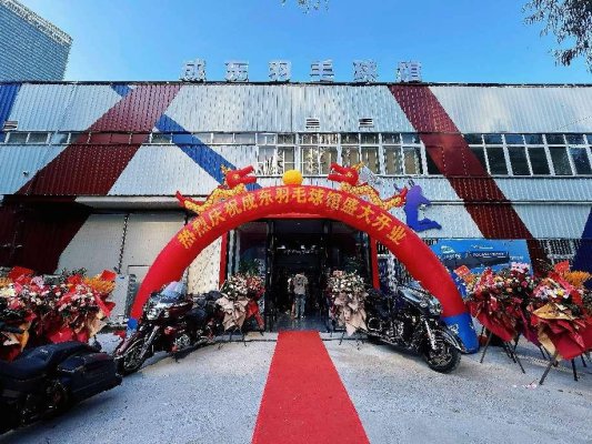 第一届“成东杯”羽毛球双打王邀请赛暨成东羽毛球馆开业仪式圆满举行(图1)
