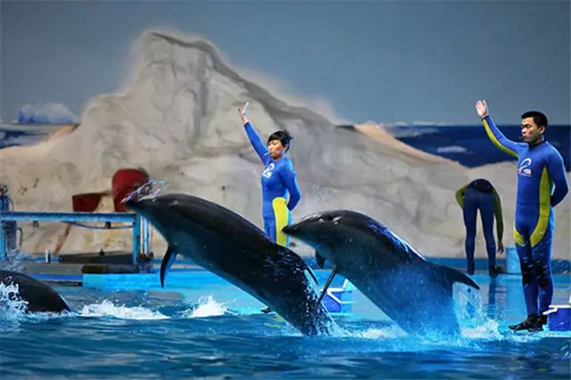 广东：海洋旅游“潮”起来(图1)