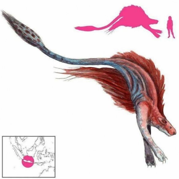 惠普生物官网-海洋生物肽肌肤年轻态(图1)