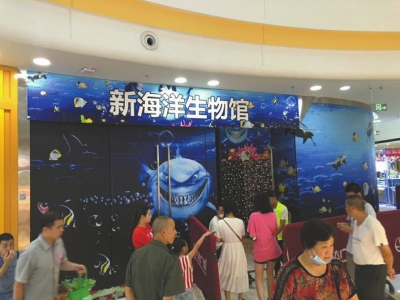 新闻频道-河南一百度(图1)