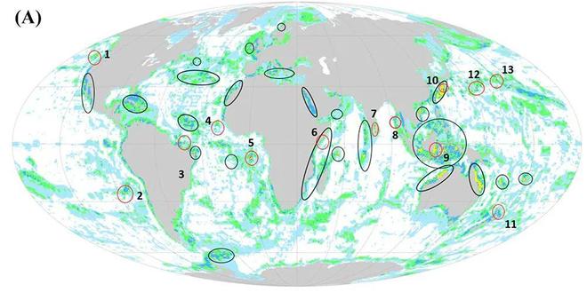 中国海洋大学在全球海洋生物多样性系统性保护研究领域取得新进展！(图1)