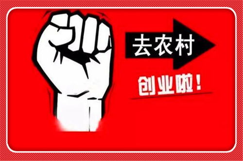 青岛有什么项目赚钱快点的(图1)