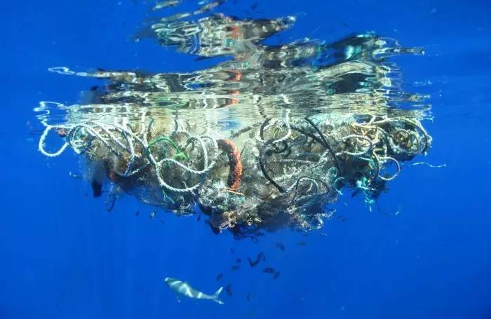 中国海洋生物医行业现状调研及未来发展趋势分析报告(图1)