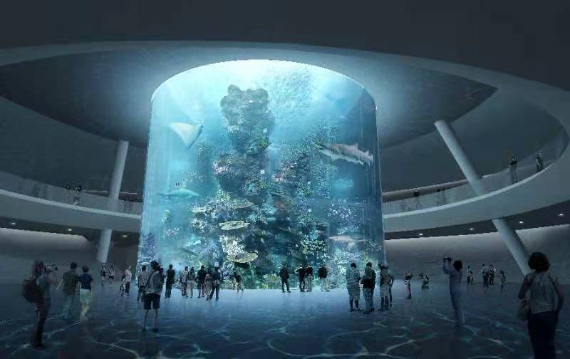 坚持“五个更加注重” 推动海洋经济高质量发展(图1)