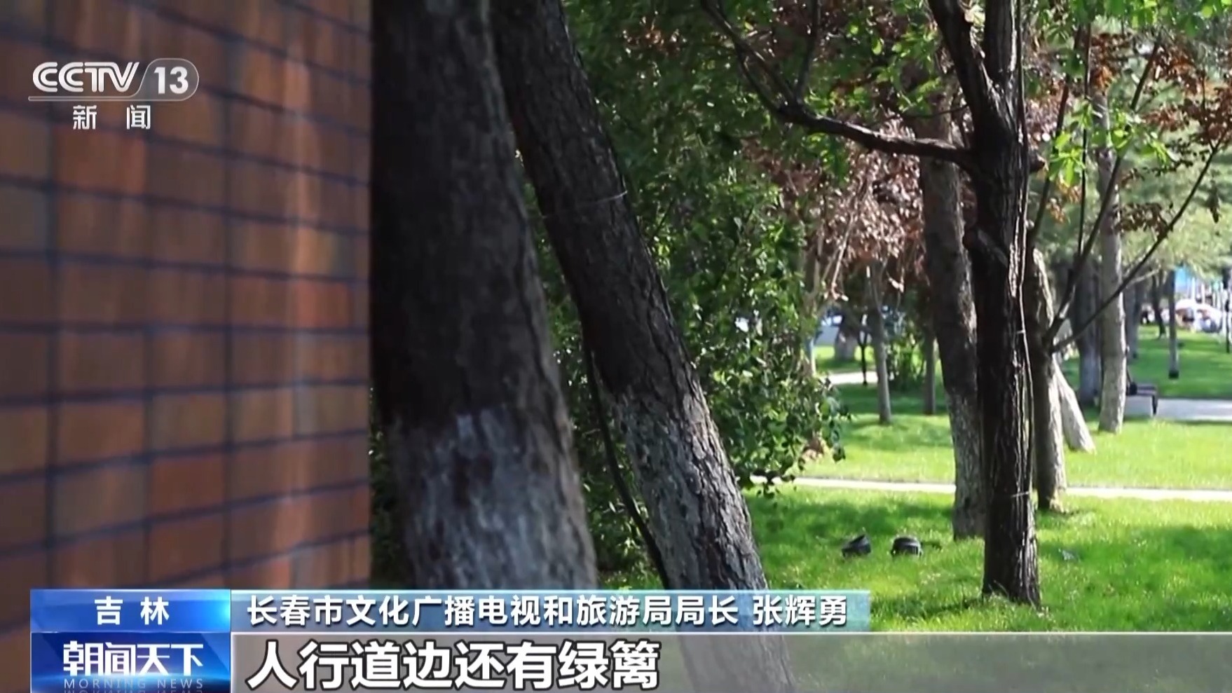 活力中国调研行丨 一砖一瓦皆故事 看百年老街如何焕新(图6)