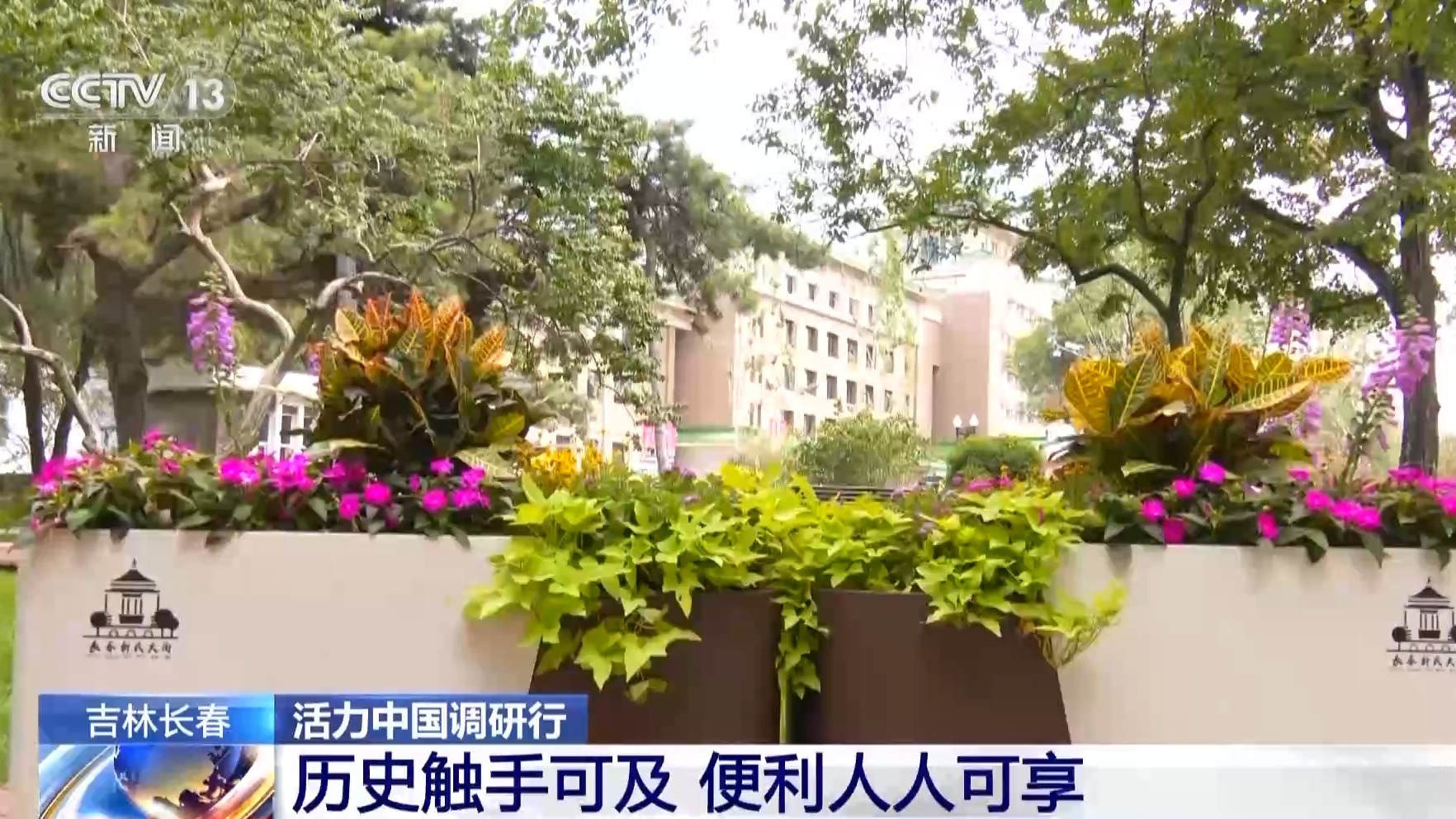 活力中国调研行丨 一砖一瓦皆故事 看百年老街如何焕新(图10)