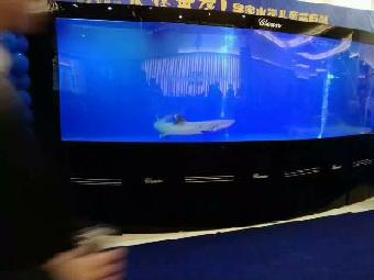2025年韩国釜山渔业展 BISFE：中国渔业企业的出海新机遇(图1)