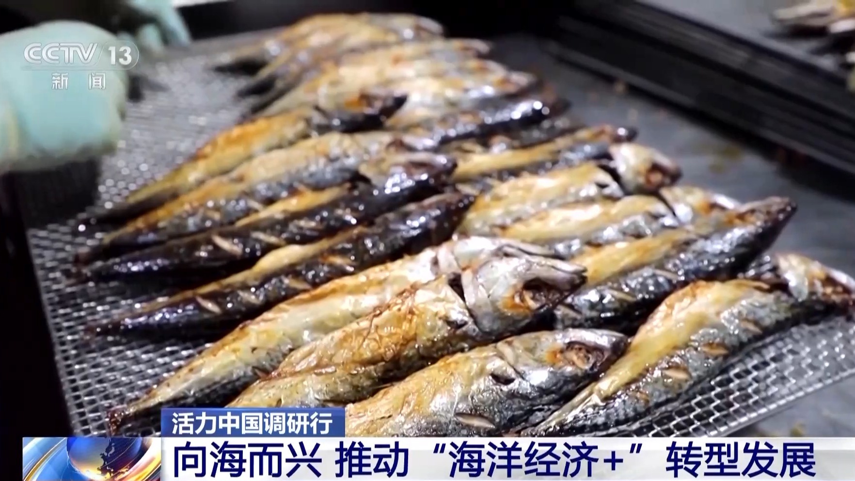 活力中國調研行邊陲小城奏響海洋經濟交響曲(图11)