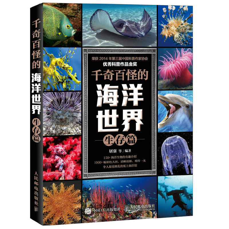 鯨鯊 美丽海生物图鉴 冲绳美丽海水族馆 - 冲绳美麗海 世代相传(图1)