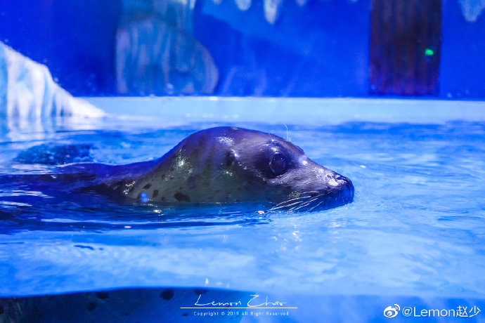 2024年海洋世界水族馆租赁协议3篇docx(图1)
