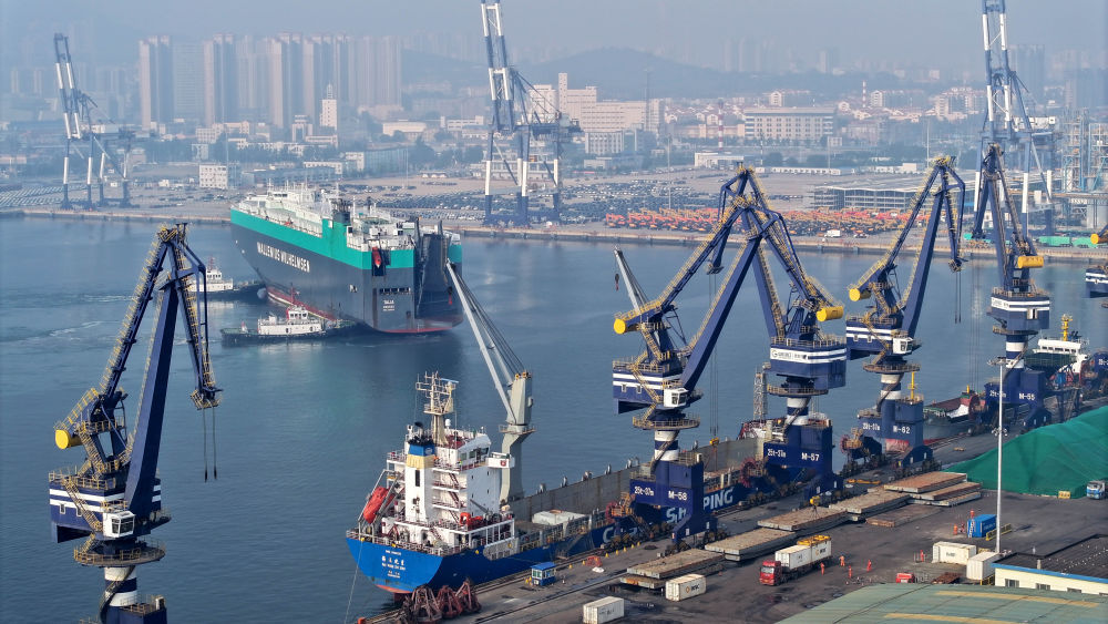 陆海互济 连通天下——山东加速打造世界级海洋港口群(图12)