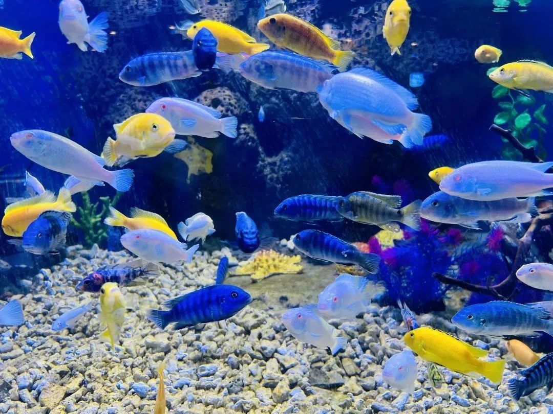 21世纪药物开发新宝库：海洋生物医药--产业发展状况解析(图1)
