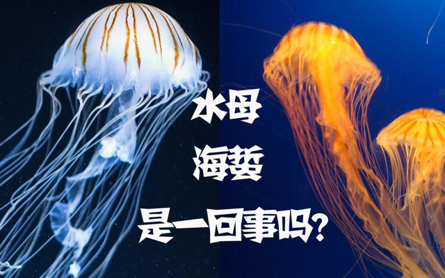 中国海洋大学学科评估结果排名(图1)