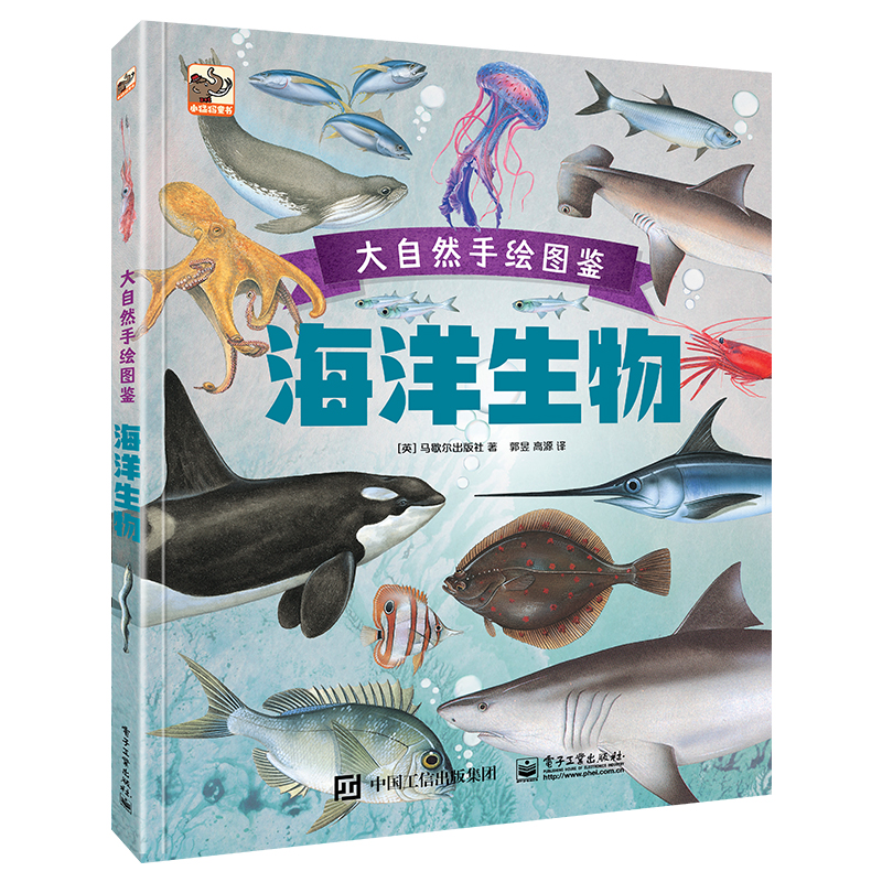 厦门冬季赶海攻略：生死与奇迹的观音山沙滩体验(图1)