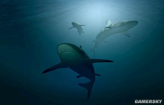 海洋科普舰队｜潮间带生物的“适者生存”(图1)