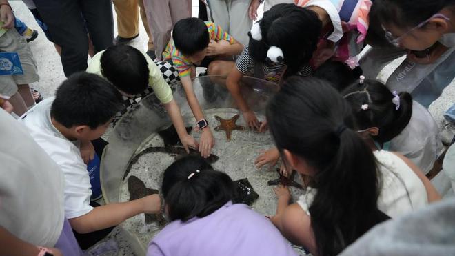 暑期在南京图书馆探秘海底世界(图2)
