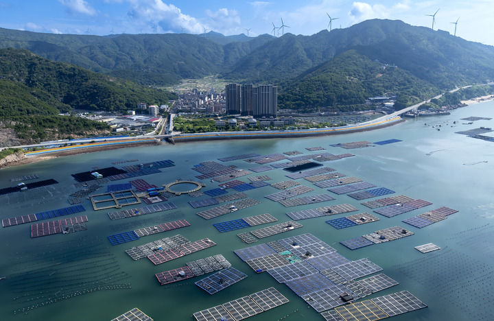 精耕深藍加快建設海洋強國——“中國經濟圓桌會”聚焦海洋經濟高品質發展(图12)