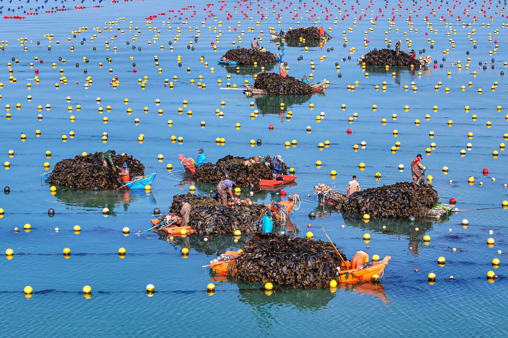 精耕深藍加快建設海洋強國——“中國經濟圓桌會”聚焦海洋經濟高品質發展(图14)