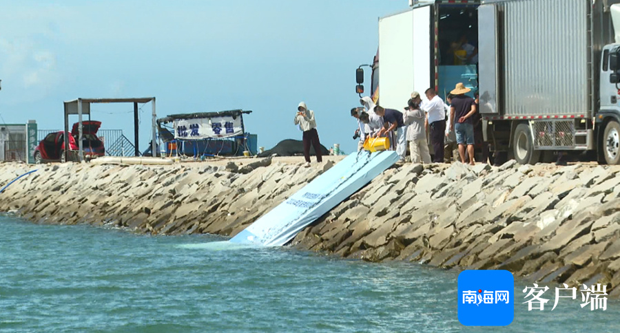 澳大利亚有毒藻华暴发致数千海龙死亡(图1)