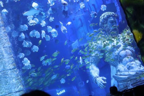 做好“海”的文章——福建推动海洋经济高质量发展观察(下)(图1)
