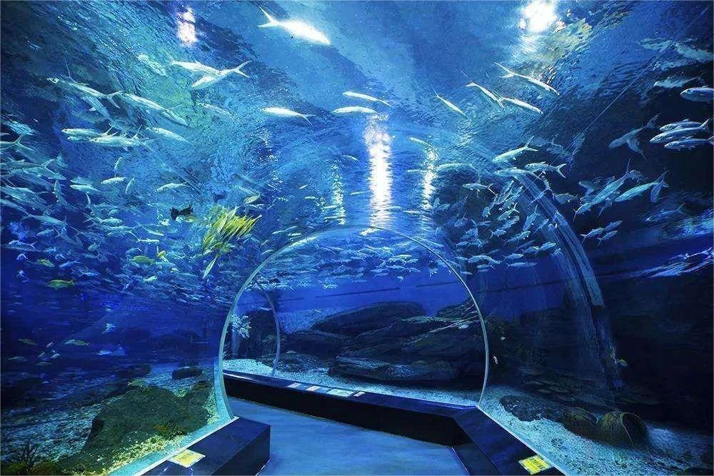 2024年兰州极地海洋世界教师节免门票活动(图1)