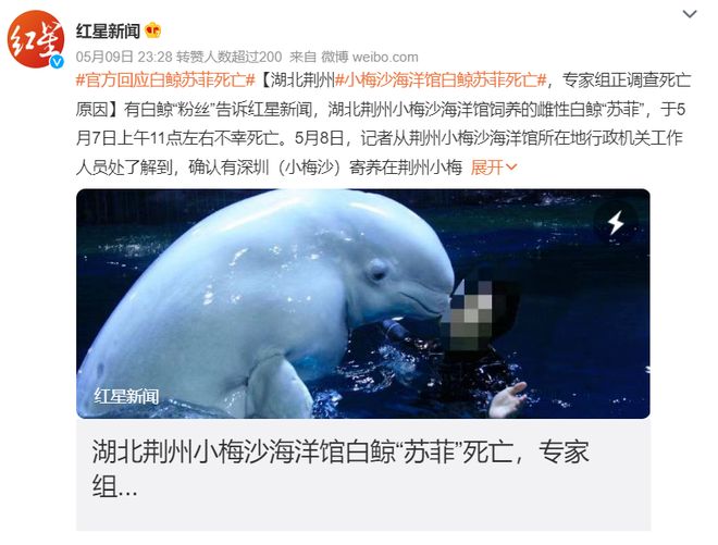 今年暑期海洋公园们走到生死边缘(图4)