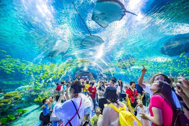 今年暑期海洋公园们走到生死边缘(图2)