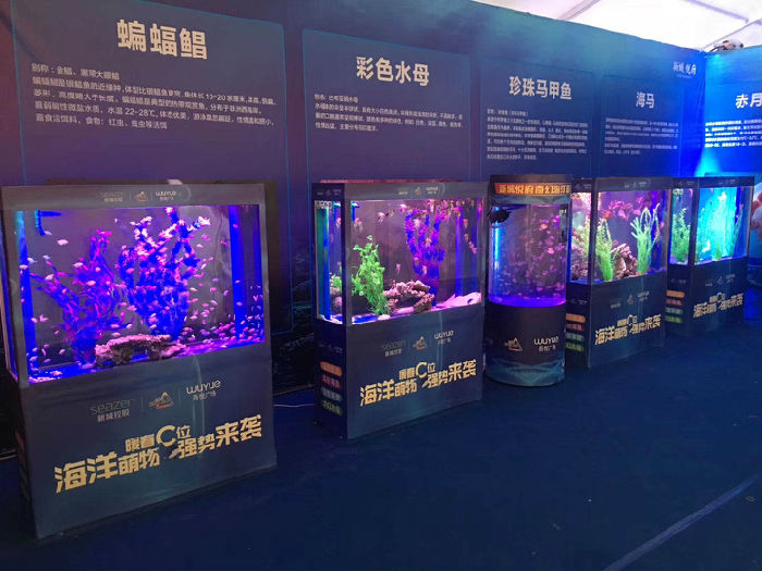 芯海科技(688595)_股票行情_走势图—东方财富网(图1)