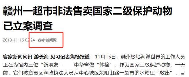 13年才能完成繁殖！面临灭绝的动物却出现在超市被按斤售卖(图3)