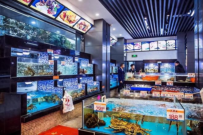 13年才能完成繁殖！面临灭绝的动物却出现在超市被按斤售卖(图1)
