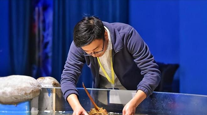 13年才能完成繁殖！面临灭绝的动物却出现在超市被按斤售卖(图4)