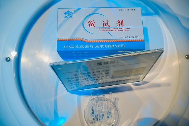 13年才能完成繁殖！面临灭绝的动物却出现在超市被按斤售卖(图14)