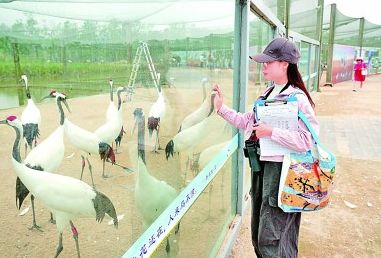 海水更清、海滩更净、湿地更美……(图2)