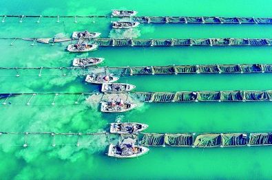 海水更清、海滩更净、湿地更美……(图5)