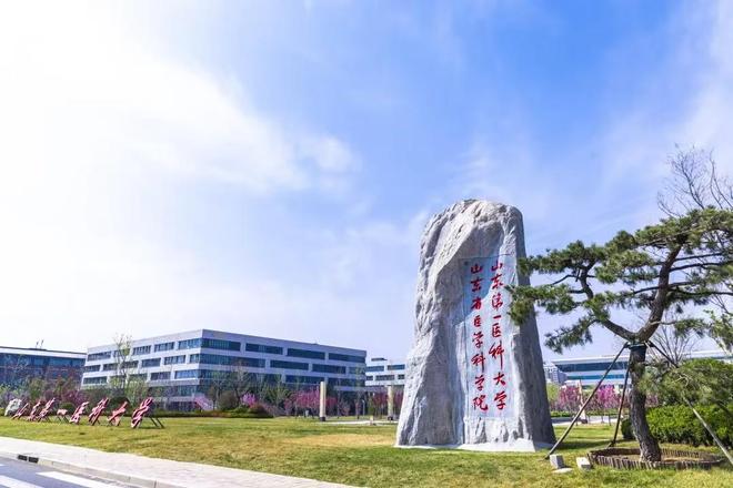 山东8所高校26位学者入选院士候选人其中山东大学独占11人(图5)