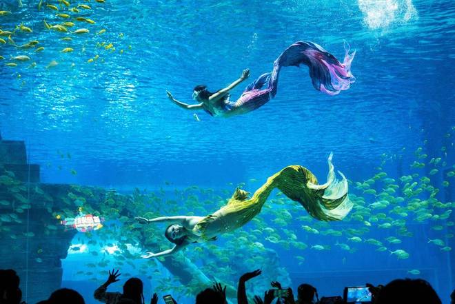 科普研学进校园！济南融创海世界打造优质的“行走课堂”(图5)