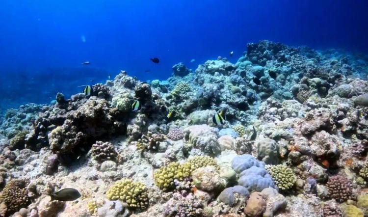 中国在南海行政管理进入新阶段(图3)