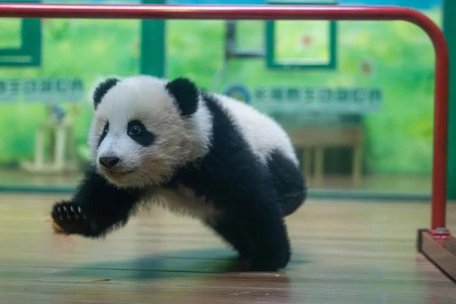 下周起广州将发放756万张免费门票！(图9)
