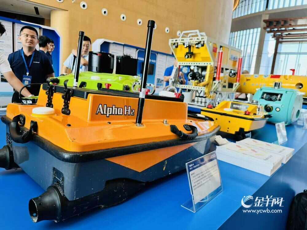 共享蓝色机遇2025年粤港澳海洋合作发展论坛在穗举办(图3)