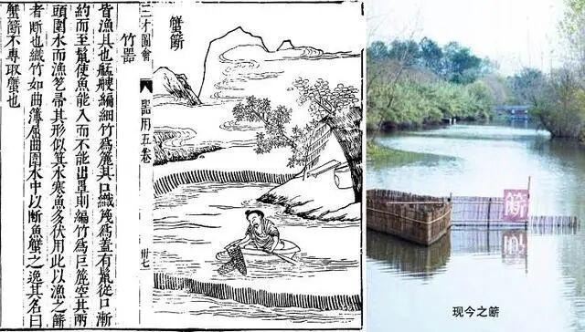 “解”字下面加“虫”与大闸蟹为什么叫大闸蟹？(图7)