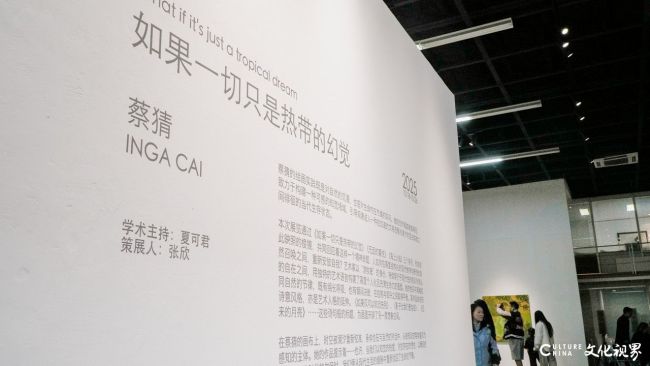 “如果一切只是热带的幻觉——蔡猜个展”在北京798开幕展期至10月26日(图2)