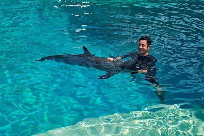 新加坡海洋馆奢华露营体验：家庭评测(图8)