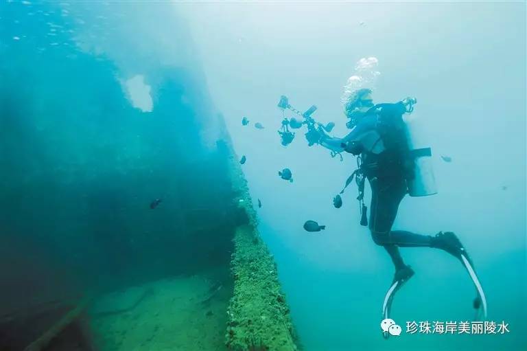 国际潜水节丨陵水吹响发展潜水游号角(图5)