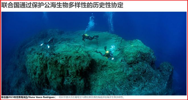 重磅！中国完成《海洋生物多样性协定》国内批准关键步骤 海潮天下·BBNJ讯(图3)