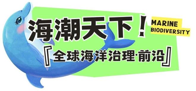 重磅！中国完成《海洋生物多样性协定》国内批准关键步骤 海潮天下·BBNJ讯(图2)