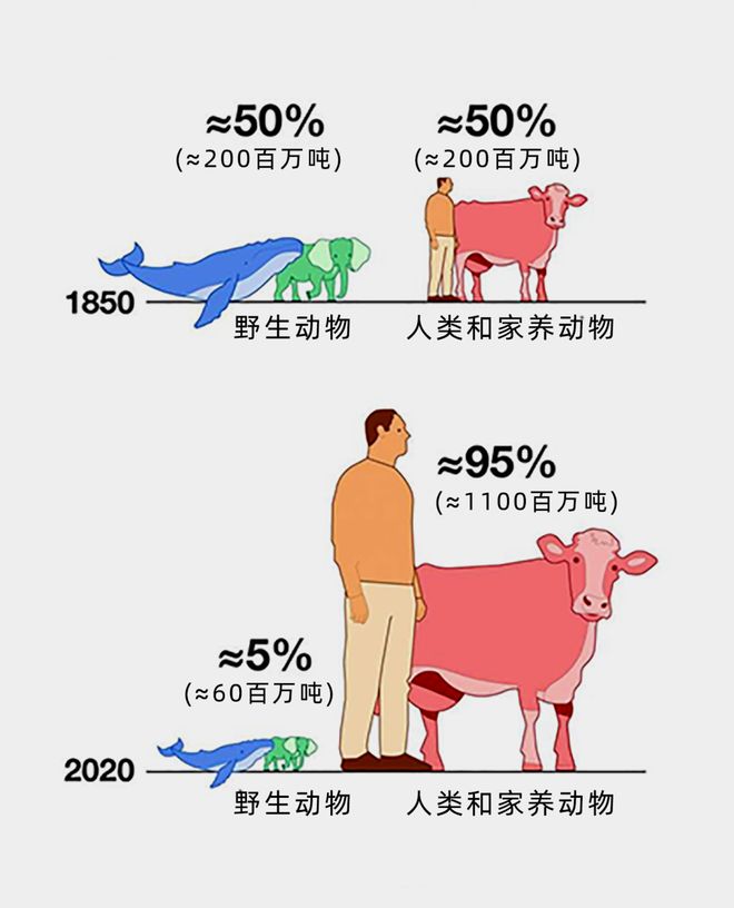 这些数字揭示了人类对自然的惊人影响！(图3)